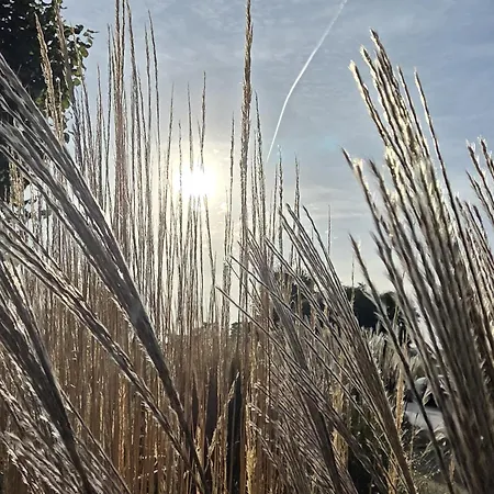 Apartmenthaus-usedom Fam Stopp Kajüte 1 Hunde Willkommen&ostsee Zum Greifen Nah Apartment